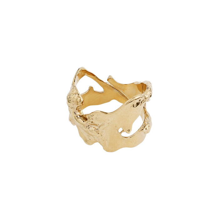 Compass Ring - Gold Plated