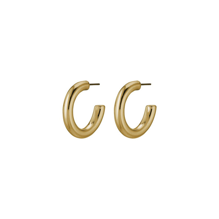 Dolag Pi Earrings - Gold Plated